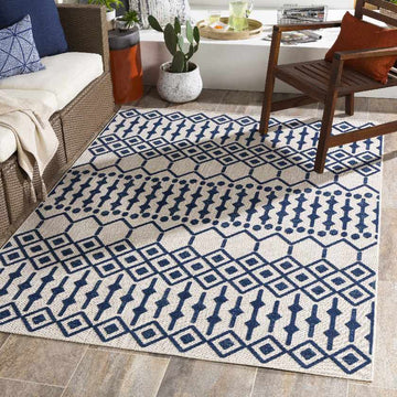 Inrdie Modern Area Rug